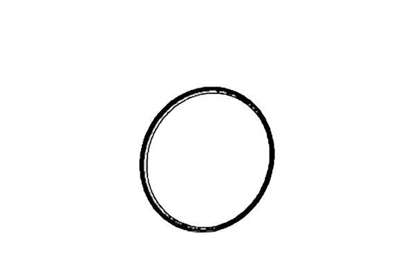 Fenno T22514 Exhaust pipe gasket T22514