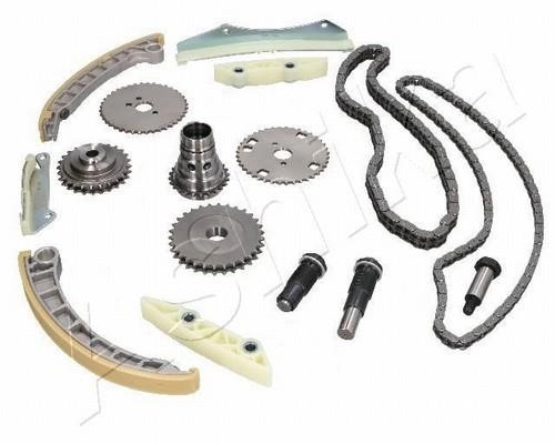 Timing chain kit Iveco: KCK0600 Ashika Timing chain kit