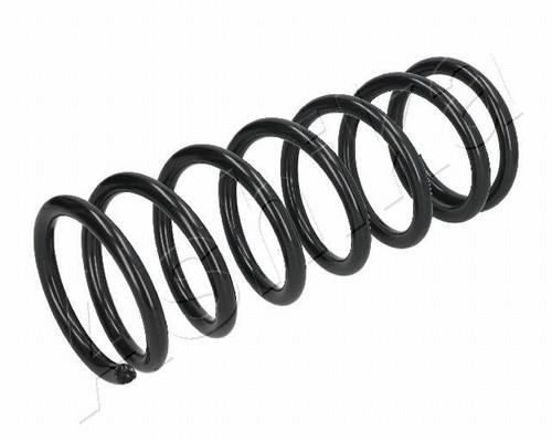 Ashika ZCA1004A Coil spring ZCA1004A