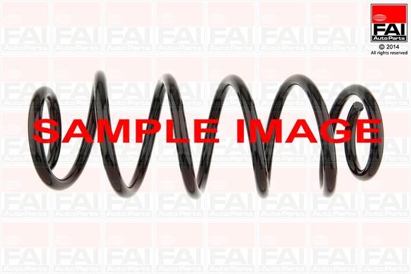 FAI SP093 Coil Spring SP093