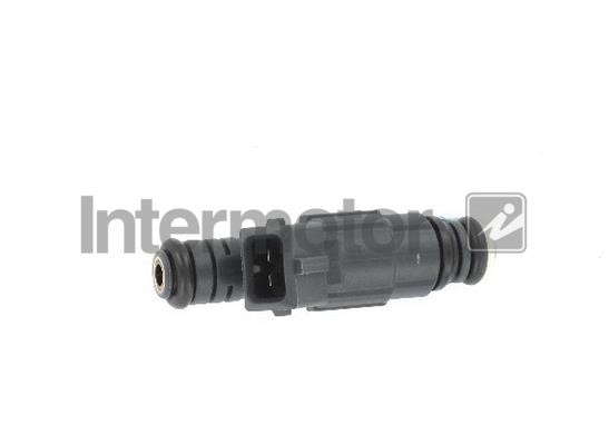 Injector fuel Intermotor 31022