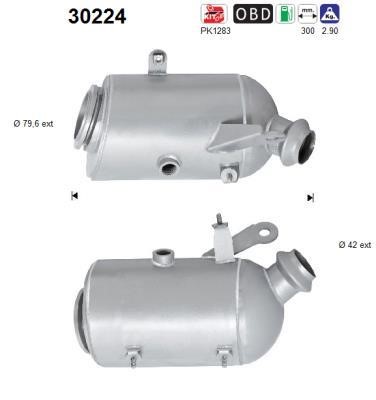 Cat converter Renault Twingo: 30224 As Catalytic Converter