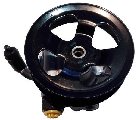 Sercore 07B1062N Hydraulic Pump, steering system 07B1062N
