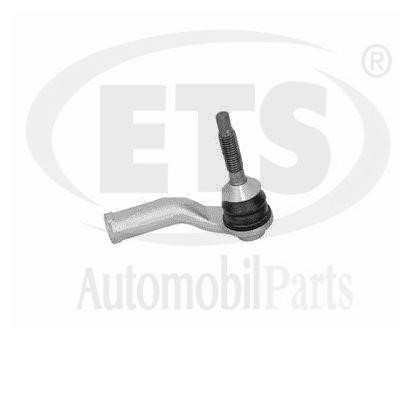 06TR321 ETS Hinge