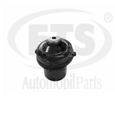 19SM452 ETS Bearing