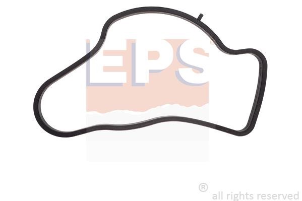 1890743 Eps Termostat gasket