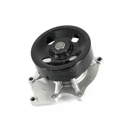 Nippon pieces S151G09 Water pump S151G09