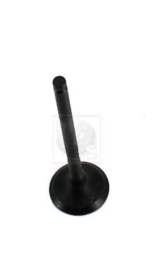 Nippon pieces T921A48 Exhaust valve T921A48