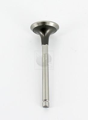 Nippon pieces T921A04 Exhaust valve T921A04
