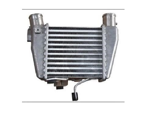 Nippon pieces H816I06 Intercooler, charger H816I06