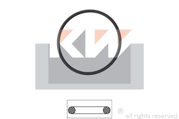 KW 590575 Termostat gasket 590575