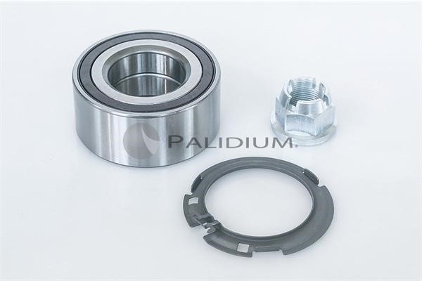 Ashuki PAL6-1017 Wheel bearing kit PAL61017
