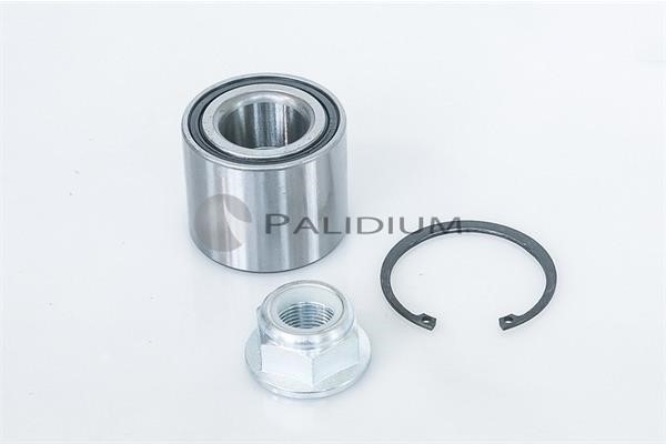 Ashuki PAL6-1029 Wheel bearing kit PAL61029