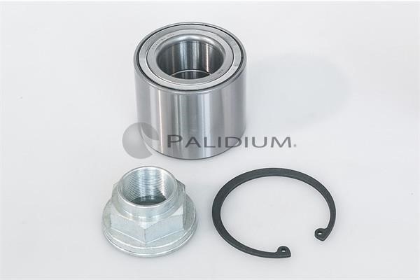 Ashuki PAL6-1050 Wheel bearing kit PAL61050