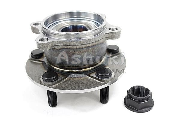 Ashuki M660-69 Wheel bearing kit M66069