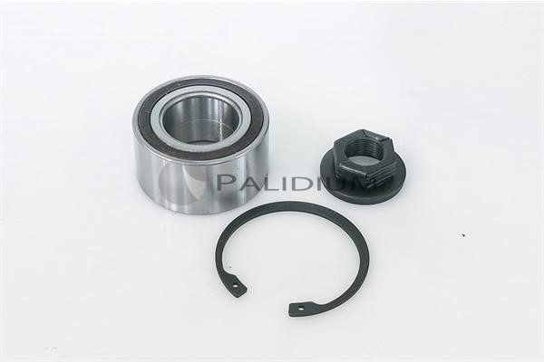 Ashuki PAL6-1013 Wheel bearing kit PAL61013