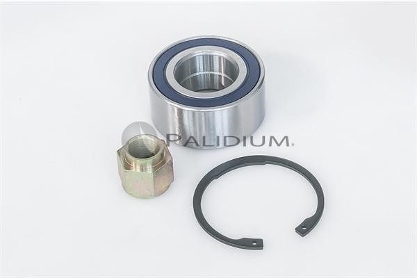 Ashuki PAL6-1030 Wheel bearing kit PAL61030