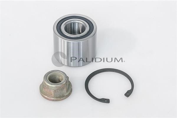 Ashuki PAL6-1020 Wheel bearing kit PAL61020