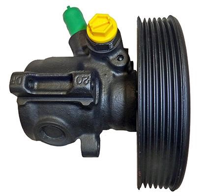 Lizarte 040502004 Hydraulic Pump, steering system 040502004