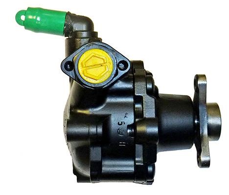 Lizarte 04.95.0110 Hydraulic Pump, steering system 04950110