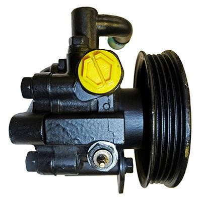 Lizarte 04.75.0145-1 Hydraulic Pump, steering system 047501451