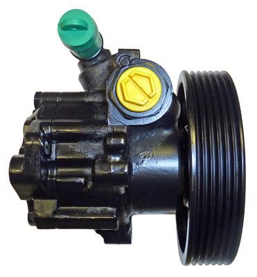 Lizarte 041102561 Hydraulic Pump, steering system 041102561