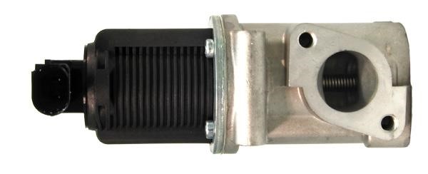 Lizarte EGR002 Valve EGR002