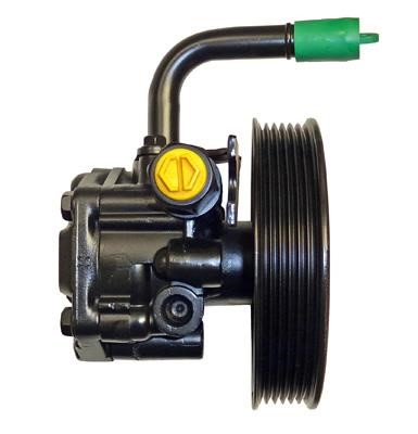 Lizarte 047606131 Hydraulic Pump, steering system 047606131