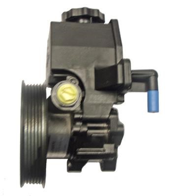 Lizarte 041300801 Hydraulic Pump, steering system 041300801