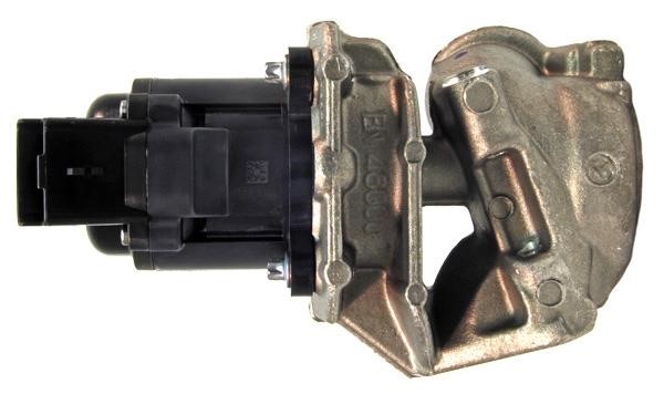 Lizarte EGR018 Valve EGR018