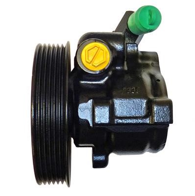 Lizarte 040510303 Hydraulic Pump, steering system 040510303