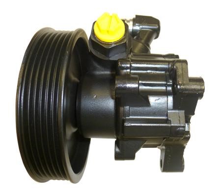 Lizarte 041301061 Hydraulic Pump, steering system 041301061