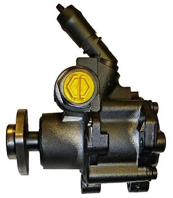Lizarte 04.52.0255 Hydraulic Pump, steering system 04520255