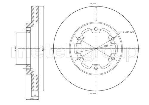 Fri.tech BD0316 Front brake disc ventilated BD0316