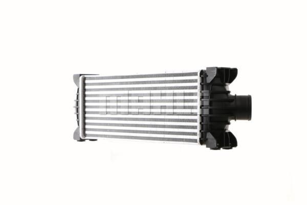 Mahle/Behr Intercooler, charger – price [object Object] PLN