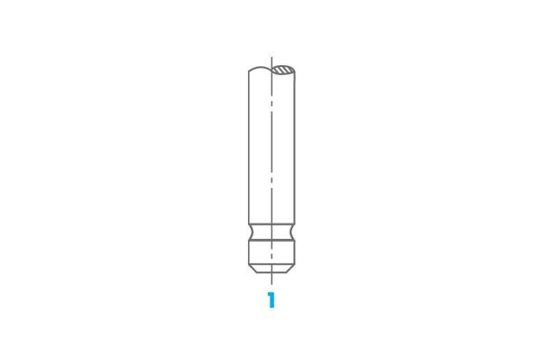 1617 Osvat Intake valve