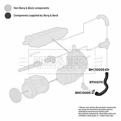 Borg & beck BTH1670 Air filter nozzle, air intake BTH1670