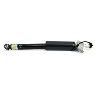 Oil suspension, rear left Arnott SK-3433