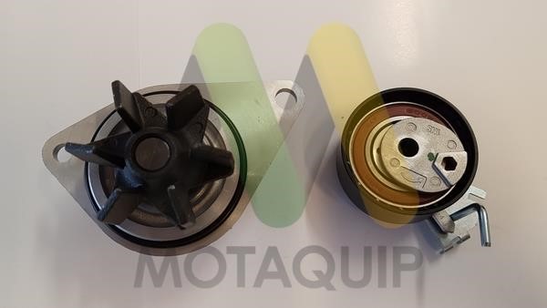 Buy Motorquip LVTTP107 at a low price in United Arab Emirates!