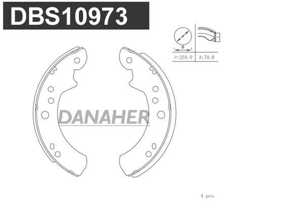 Danaher DBS10973 Brake shoe set DBS10973