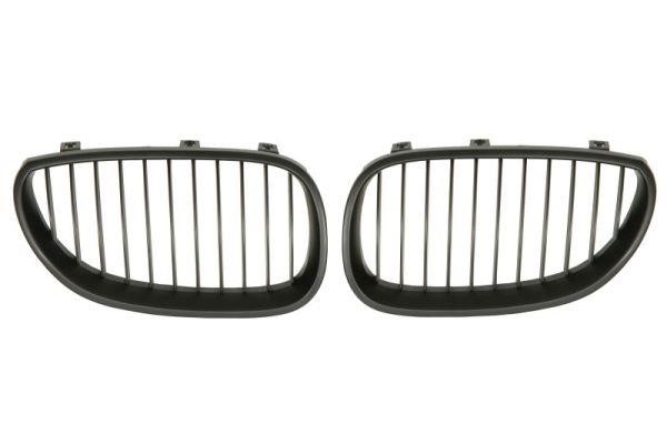 6502070066991KP Blic Grille radiator