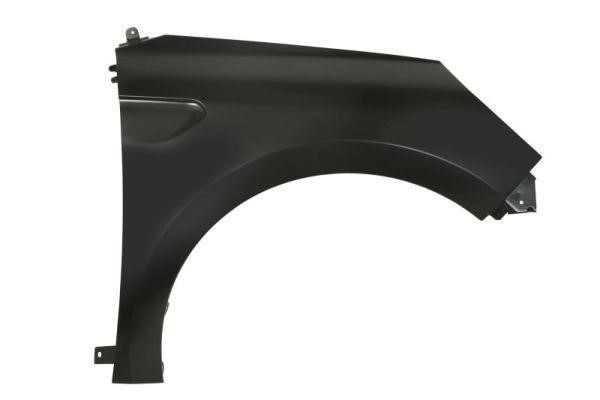 Front wing fender Renault Clio: 6504046001312P Blic Front fender
