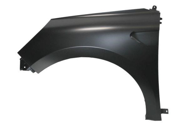 Front wing panel Renault Clio: 6504046001311P Blic Front fender