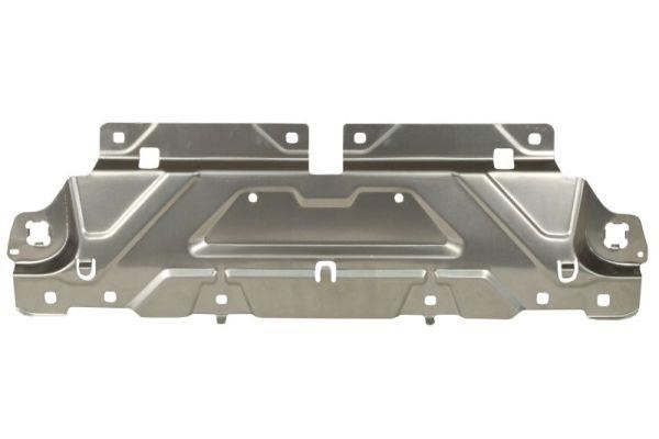 Front panel BMW 3 series: 6502080064201P Blic Radiator Support