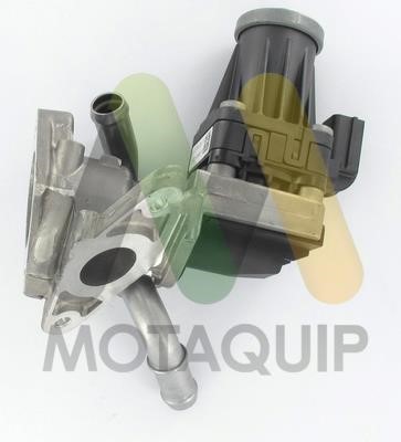 Buy Motorquip LVER392 at a low price in United Arab Emirates!