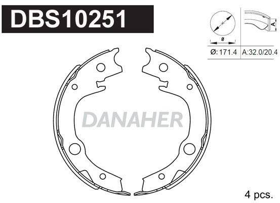 Danaher DBS10251 Parking brake shoes DBS10251