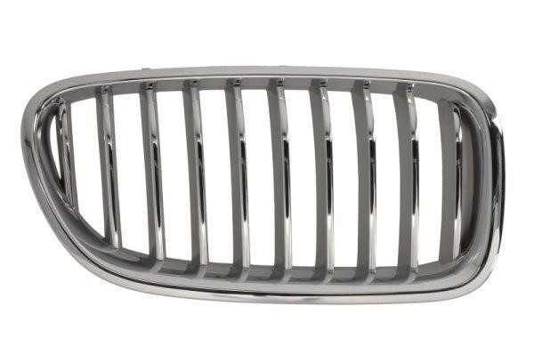 grille-radiator-6502-07-0067998cp-47967352