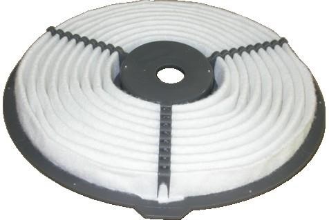 We Parts 16220 Air filter 16220