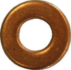We Parts 391230009 Seal Ring, injector shaft 391230009