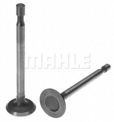 Mahle/Clevite 211-3324 Exhaust valve 2113324